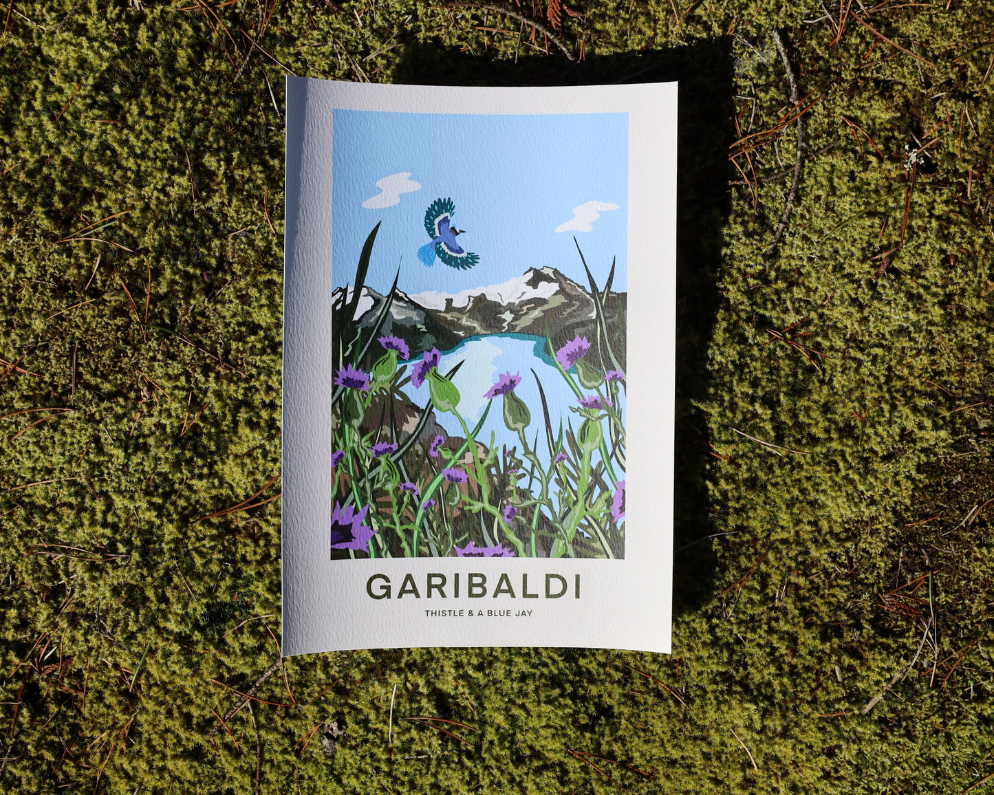 Garibaldi - Print