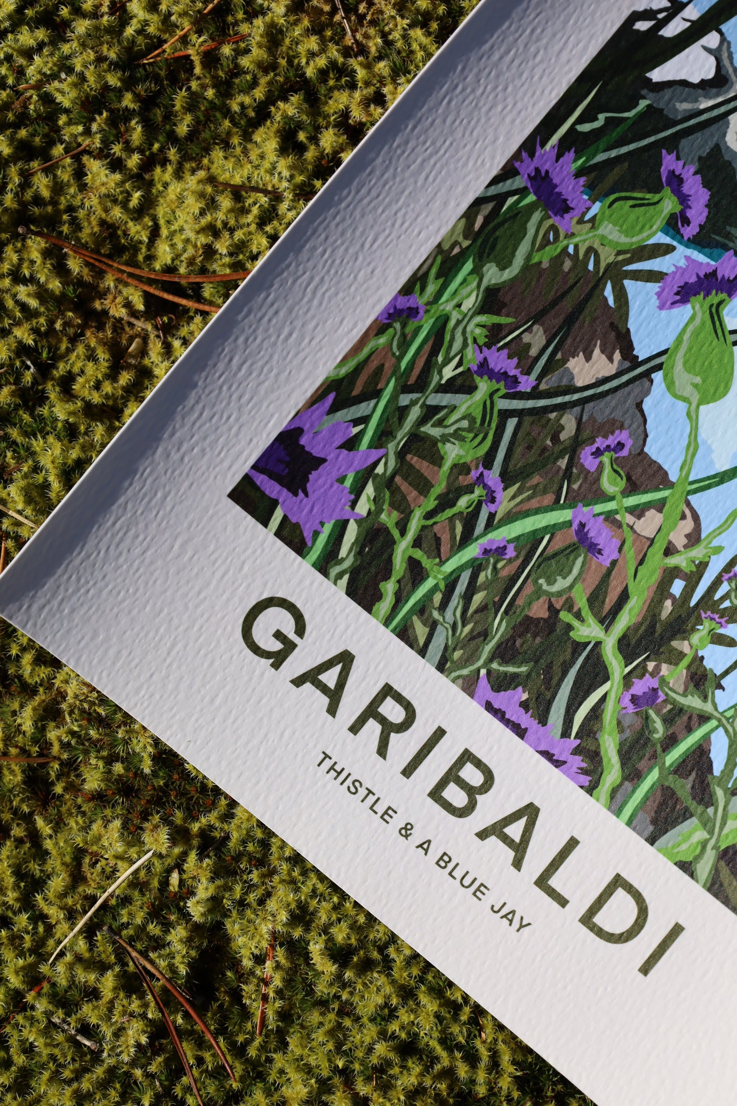 Garibaldi - Print
