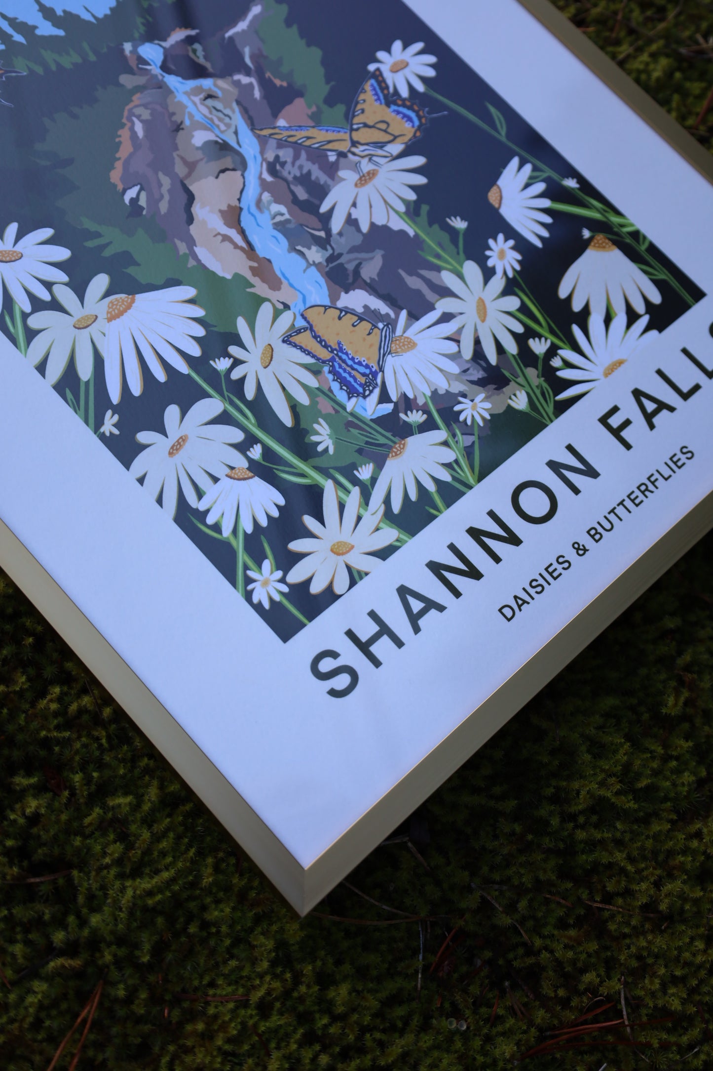 Shannon Falls - Prints