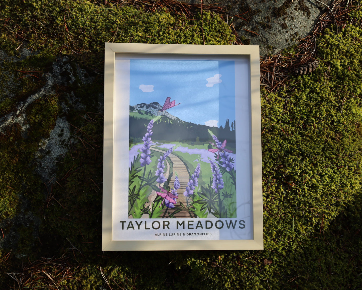 Taylor Meadows - Print