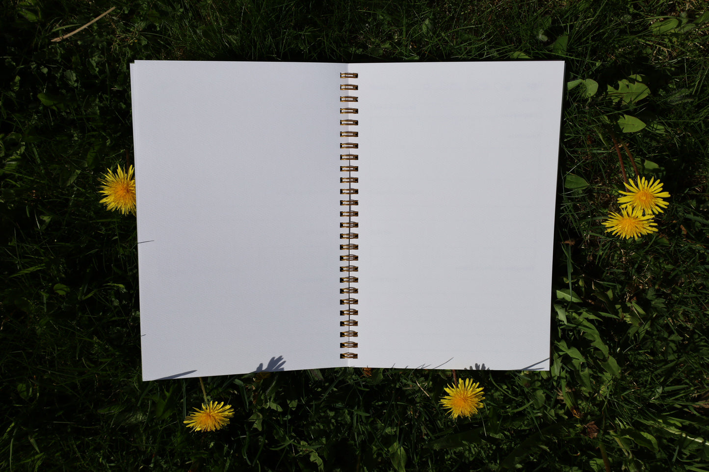 Adventure Journal