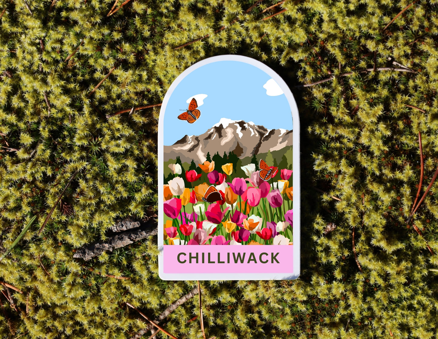 Stickers - Chilliwack