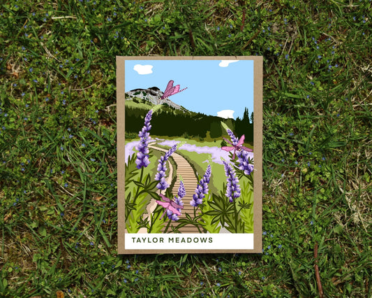 Notecards 4x6 - Taylor Meadows