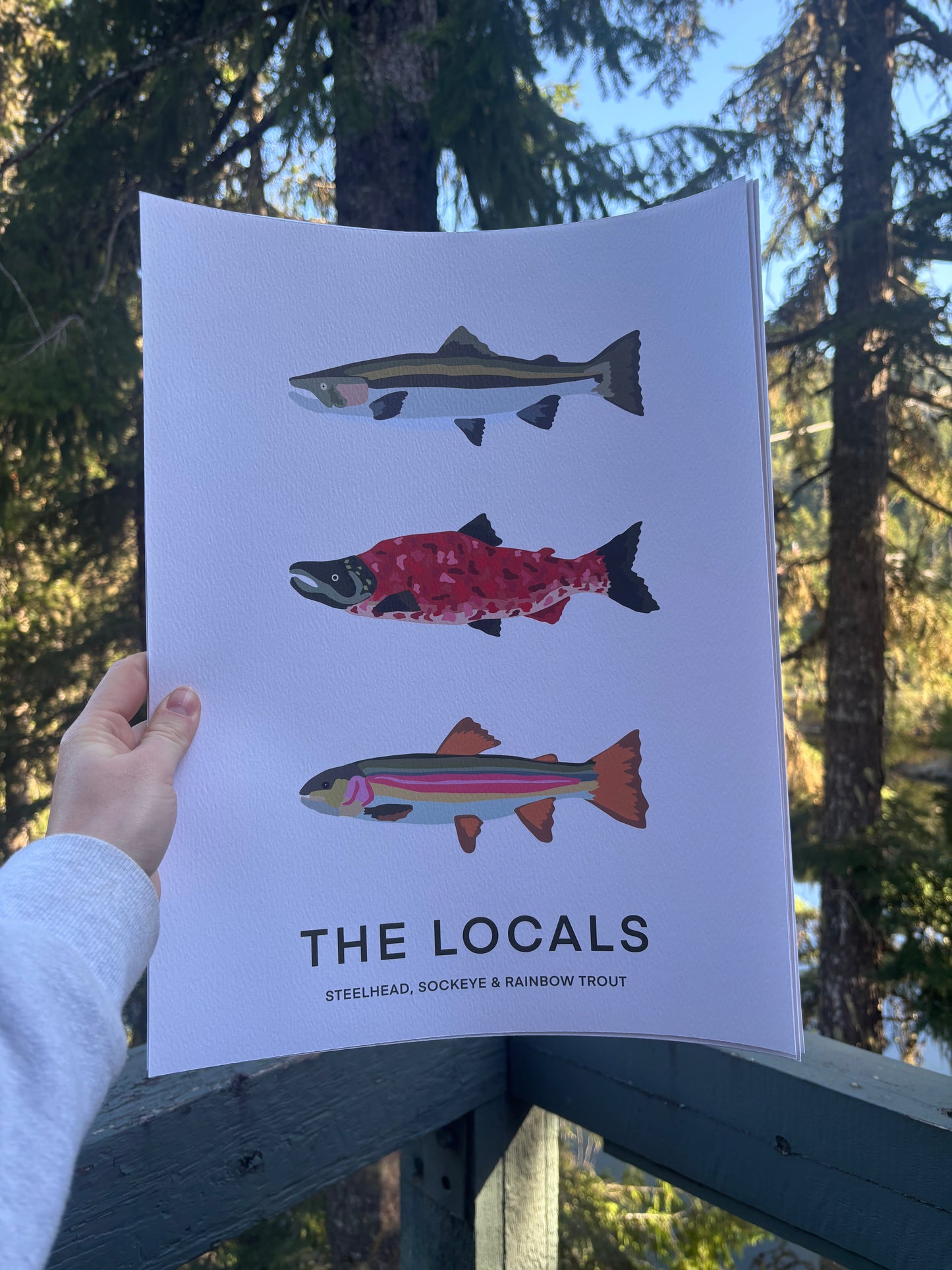 Print - The Locals