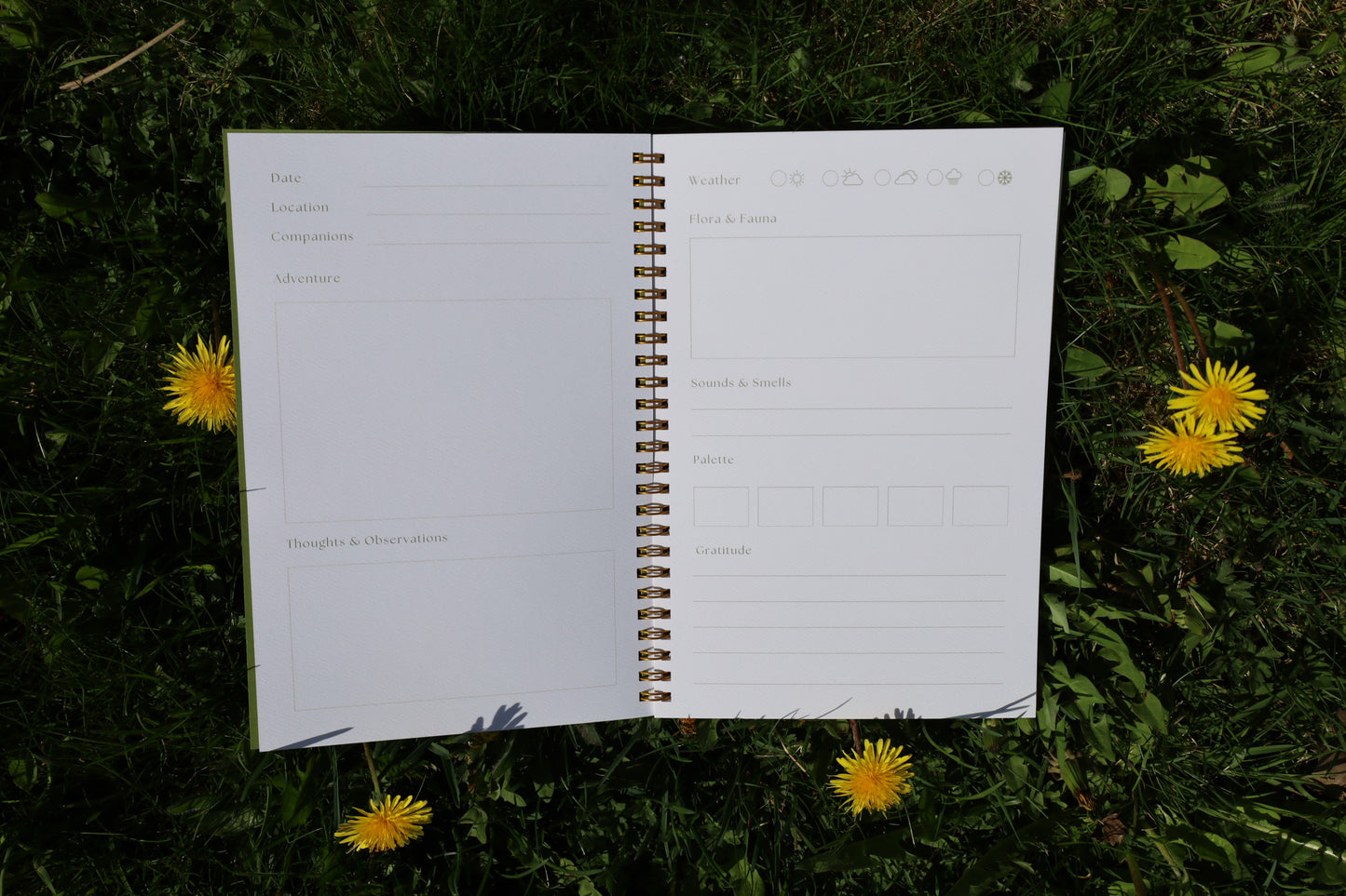 Adventure Journal