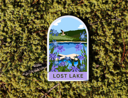 Stickers - Lost Lake